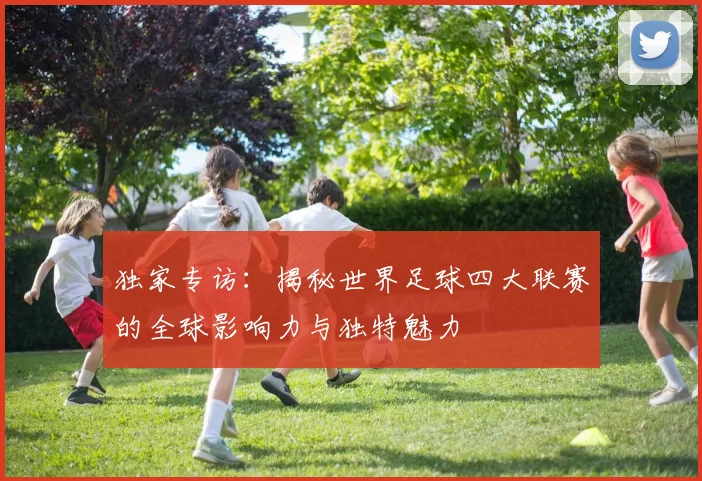 独家专访：揭秘世界足球四大联赛的全球影响力与独特魅力